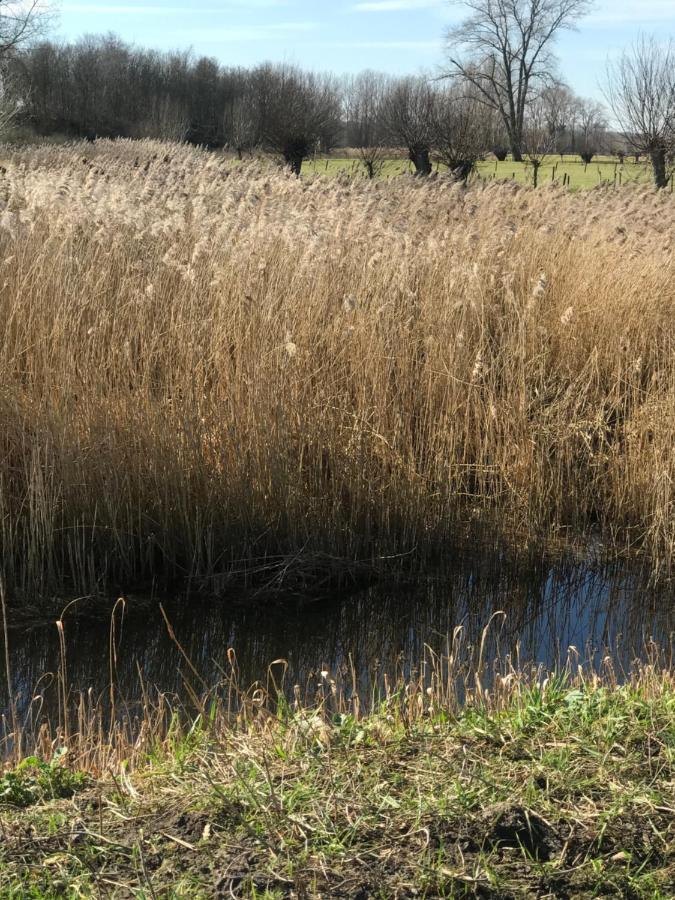 Familieverblijf De Groene Specht Sluis Εξωτερικό φωτογραφία